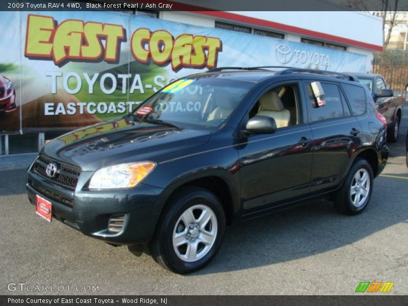 Black Forest Pearl / Ash Gray 2009 Toyota RAV4 4WD