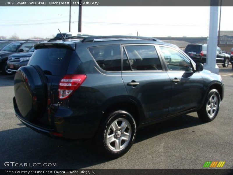 Black Forest Pearl / Ash Gray 2009 Toyota RAV4 4WD