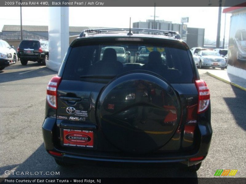 Black Forest Pearl / Ash Gray 2009 Toyota RAV4 4WD
