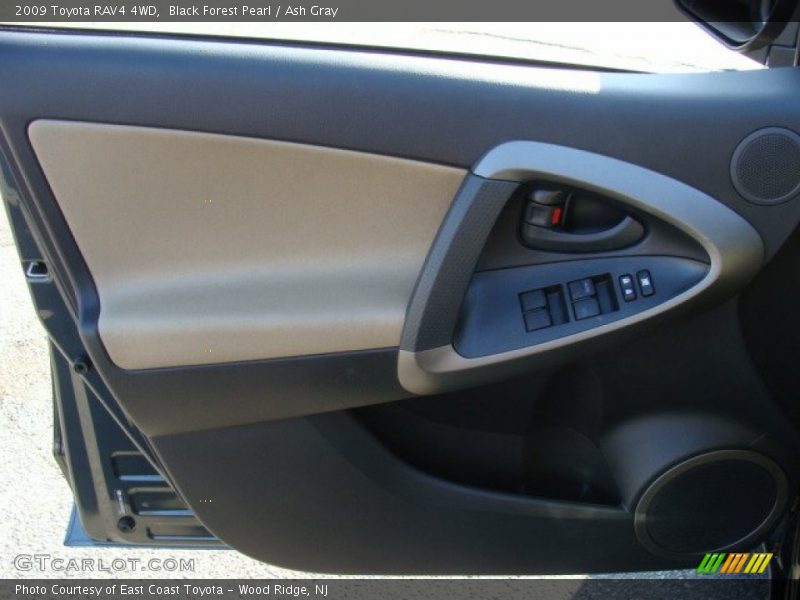 Black Forest Pearl / Ash Gray 2009 Toyota RAV4 4WD