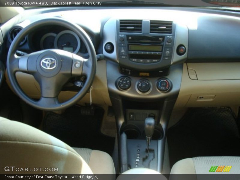 Black Forest Pearl / Ash Gray 2009 Toyota RAV4 4WD