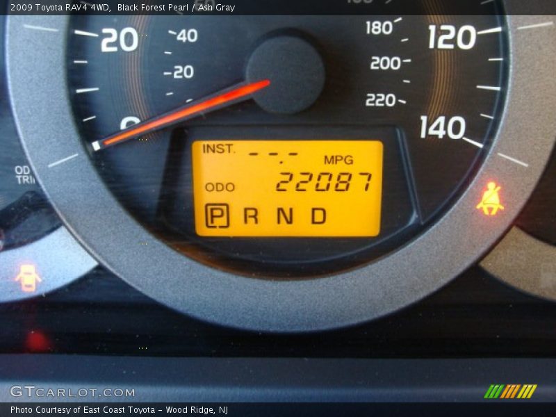 Black Forest Pearl / Ash Gray 2009 Toyota RAV4 4WD
