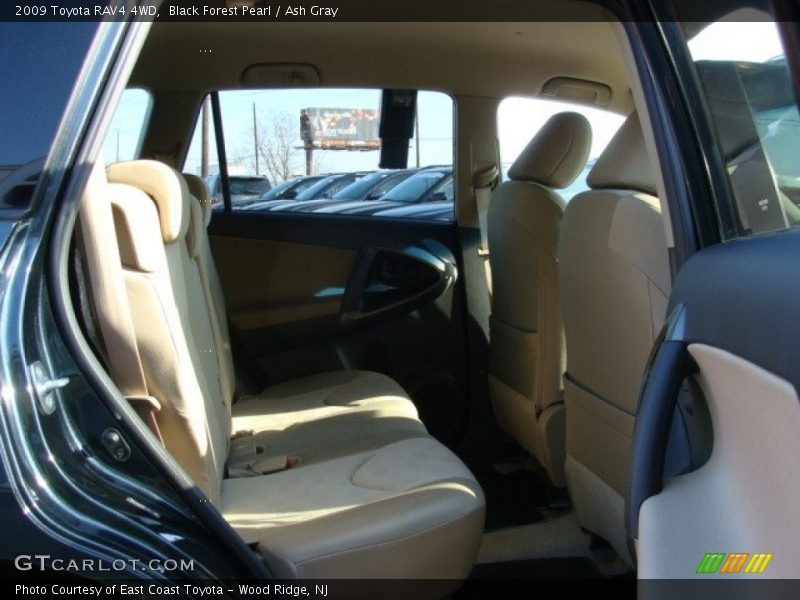 Black Forest Pearl / Ash Gray 2009 Toyota RAV4 4WD
