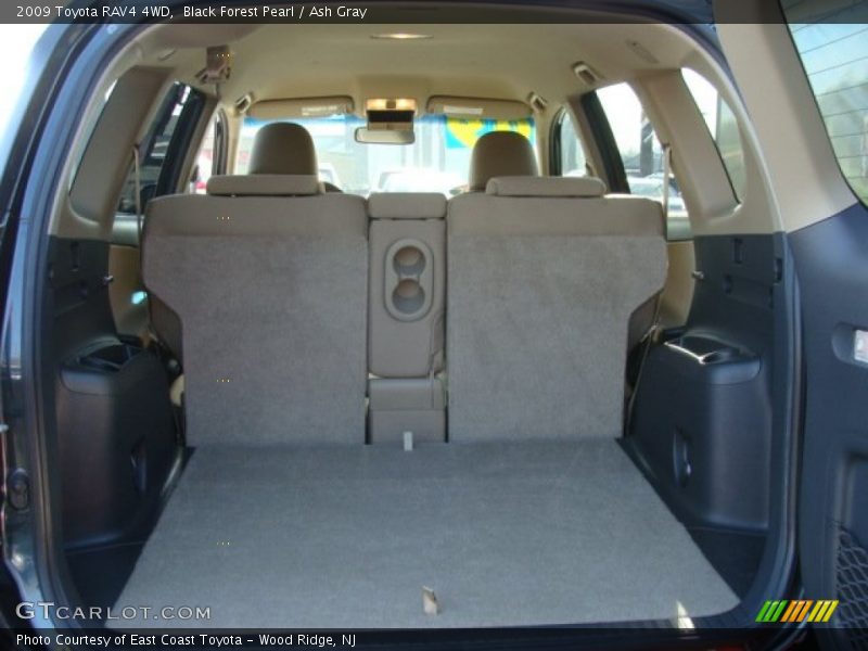 Black Forest Pearl / Ash Gray 2009 Toyota RAV4 4WD