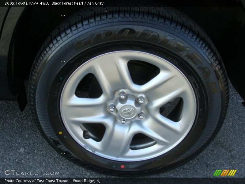 Black Forest Pearl / Ash Gray 2009 Toyota RAV4 4WD