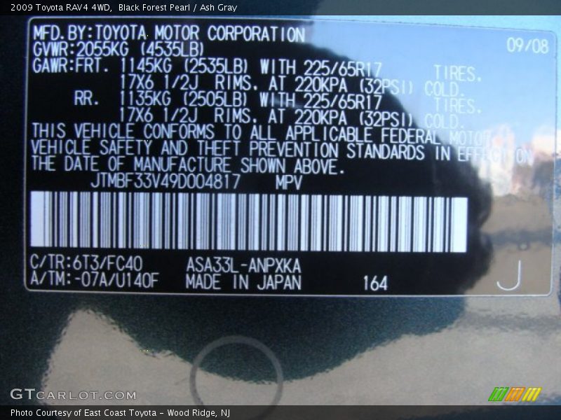 Black Forest Pearl / Ash Gray 2009 Toyota RAV4 4WD