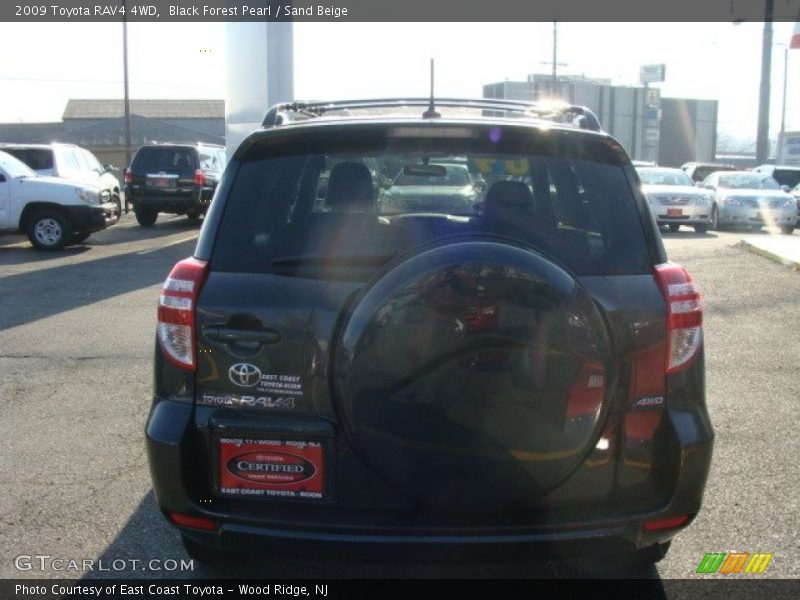 Black Forest Pearl / Sand Beige 2009 Toyota RAV4 4WD