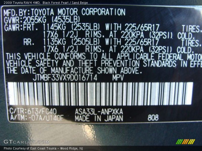 Black Forest Pearl / Sand Beige 2009 Toyota RAV4 4WD