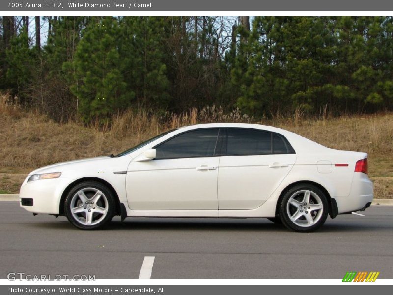 White Diamond Pearl / Camel 2005 Acura TL 3.2