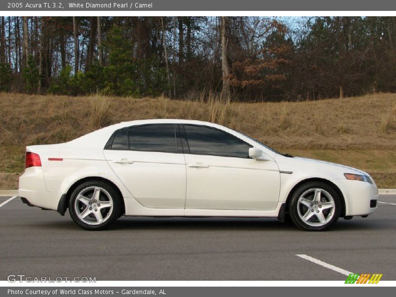 White Diamond Pearl / Camel 2005 Acura TL 3.2