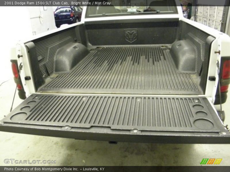 Bright White / Mist Gray 2001 Dodge Ram 1500 SLT Club Cab