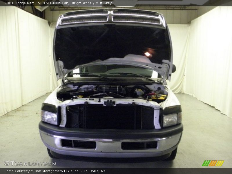 Bright White / Mist Gray 2001 Dodge Ram 1500 SLT Club Cab