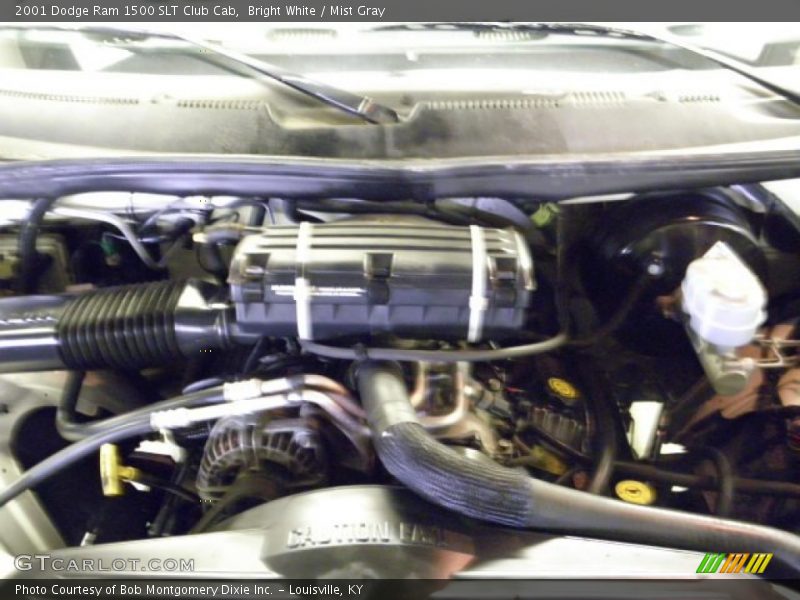 Bright White / Mist Gray 2001 Dodge Ram 1500 SLT Club Cab