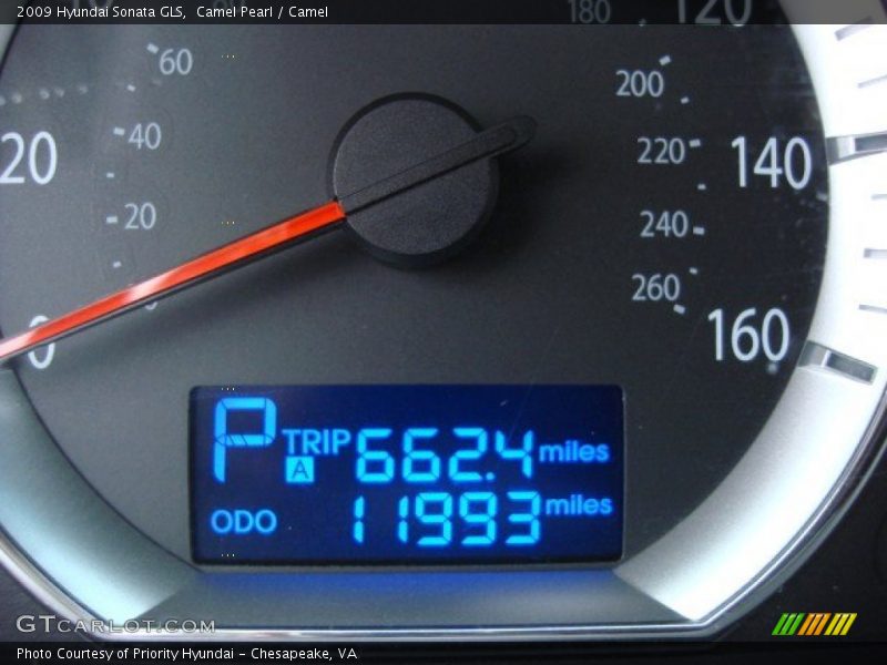 Camel Pearl / Camel 2009 Hyundai Sonata GLS