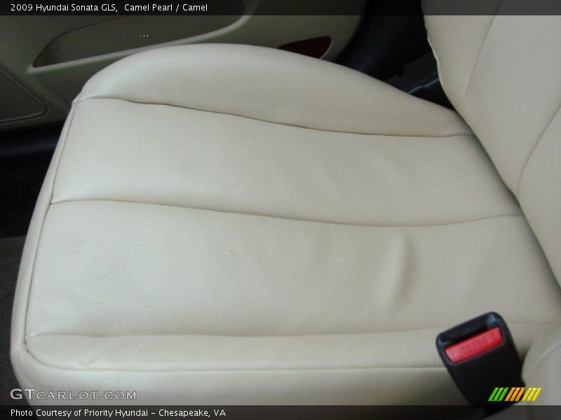 Camel Pearl / Camel 2009 Hyundai Sonata GLS