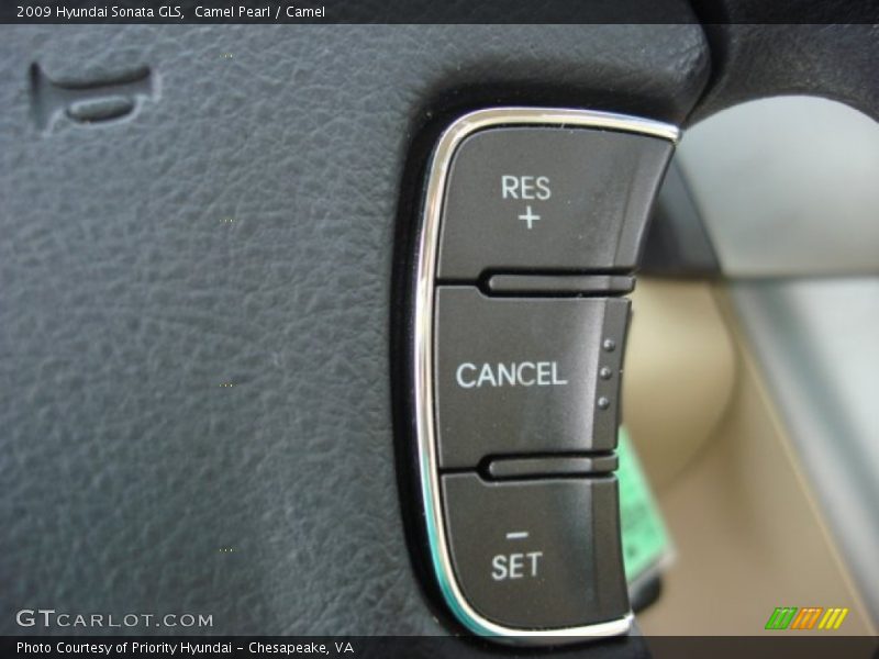 Camel Pearl / Camel 2009 Hyundai Sonata GLS