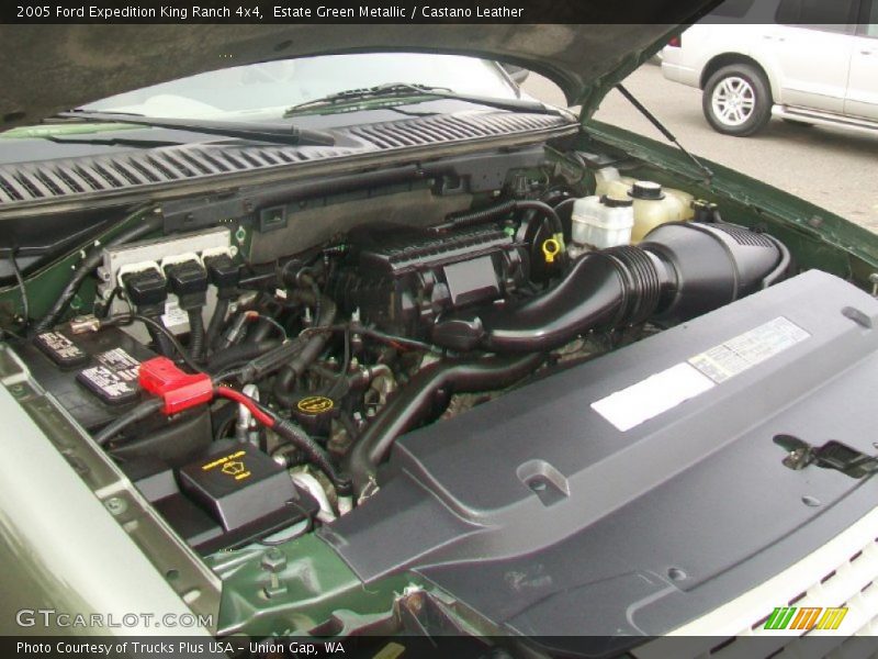 Estate Green Metallic / Castano Leather 2005 Ford Expedition King Ranch 4x4