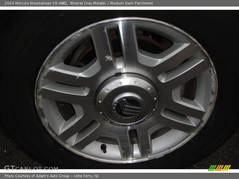 Mineral Gray Metallic / Medium Dark Parchment 2004 Mercury Mountaineer V8 AWD