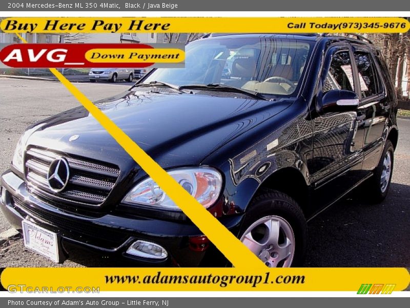 Black / Java Beige 2004 Mercedes-Benz ML 350 4Matic