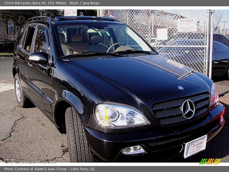 Black / Java Beige 2004 Mercedes-Benz ML 350 4Matic