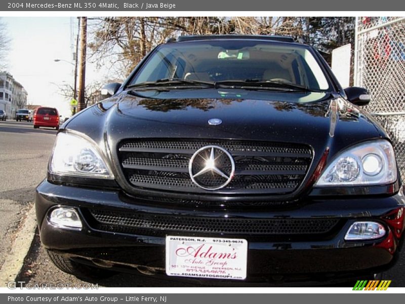 Black / Java Beige 2004 Mercedes-Benz ML 350 4Matic