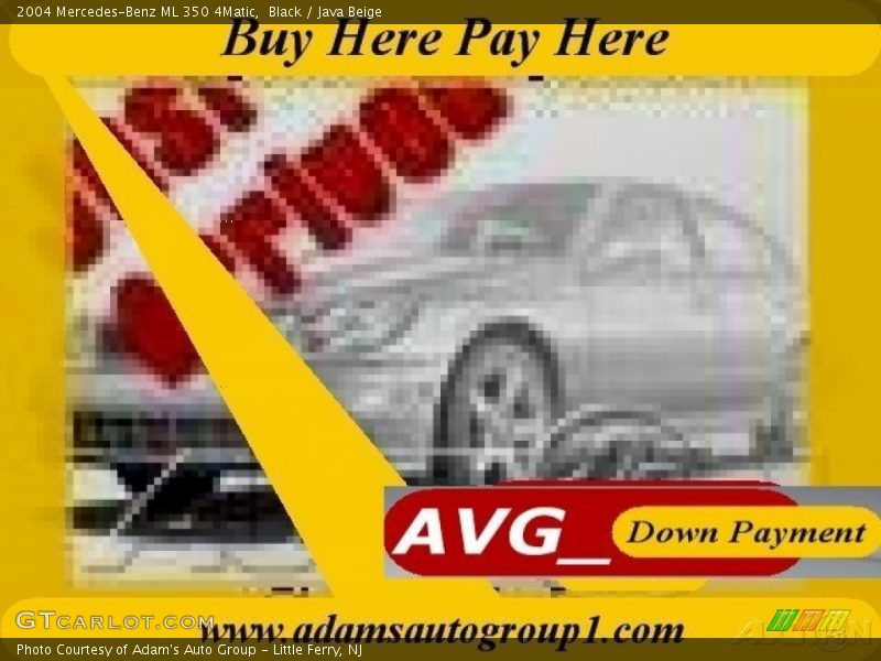 Black / Java Beige 2004 Mercedes-Benz ML 350 4Matic