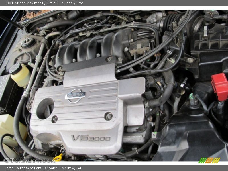 Satin Blue Pearl / Frost 2001 Nissan Maxima SE