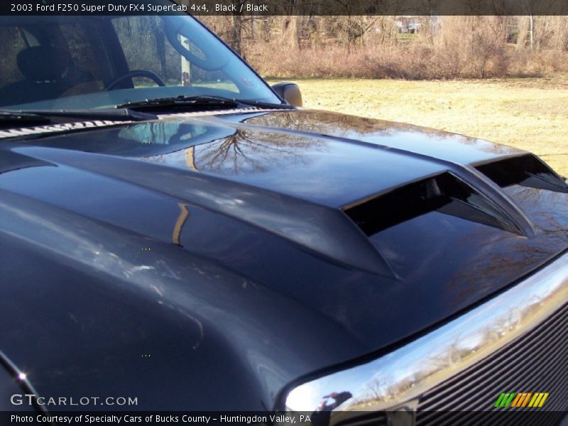 Black / Black 2003 Ford F250 Super Duty FX4 SuperCab 4x4