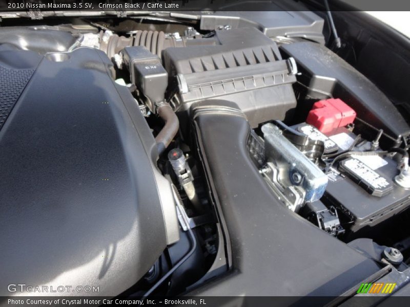 Crimson Black / Caffe Latte 2010 Nissan Maxima 3.5 SV