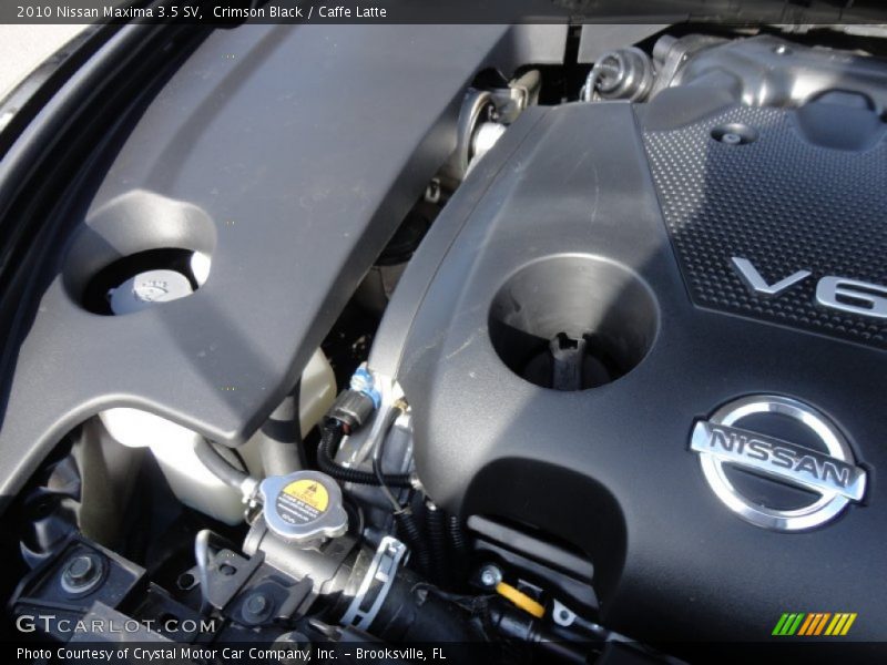 Crimson Black / Caffe Latte 2010 Nissan Maxima 3.5 SV