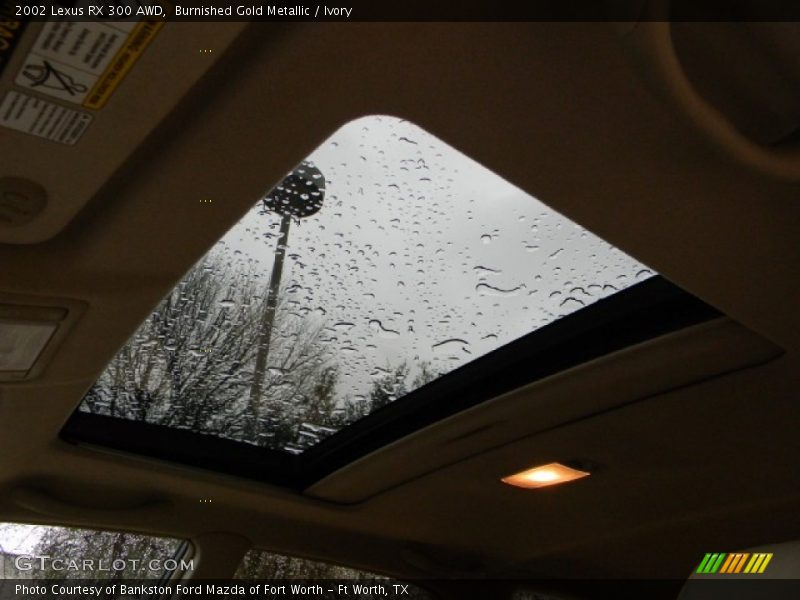 Burnished Gold Metallic / Ivory 2002 Lexus RX 300 AWD