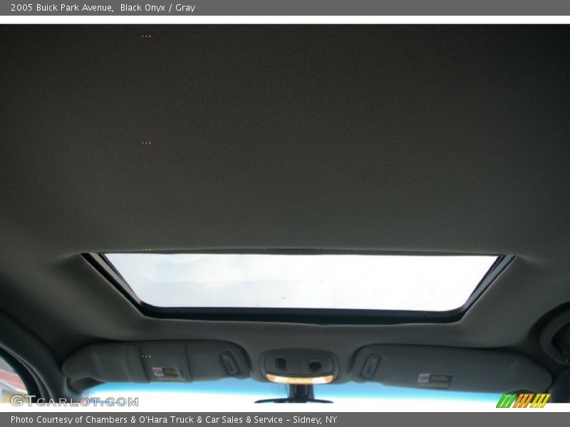 Black Onyx / Gray 2005 Buick Park Avenue