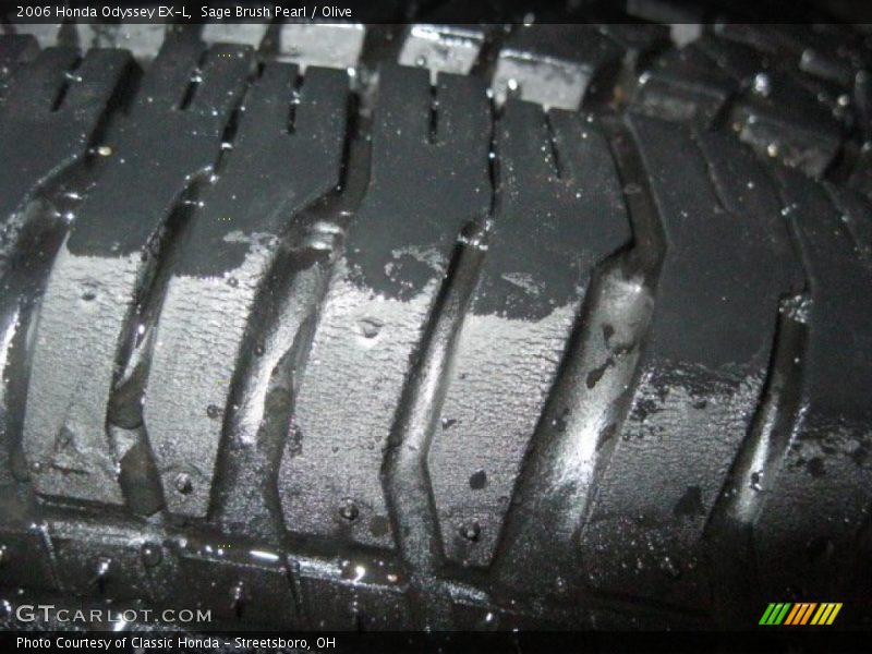 Sage Brush Pearl / Olive 2006 Honda Odyssey EX-L