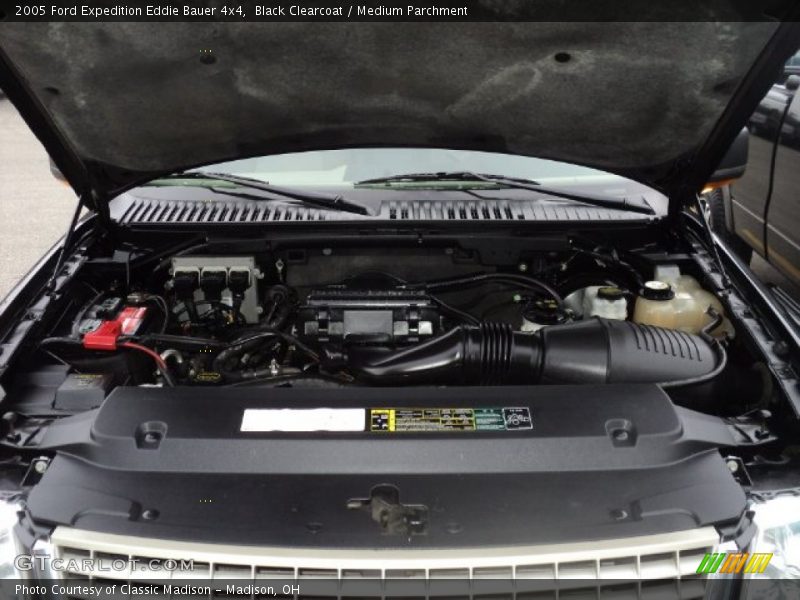Black Clearcoat / Medium Parchment 2005 Ford Expedition Eddie Bauer 4x4