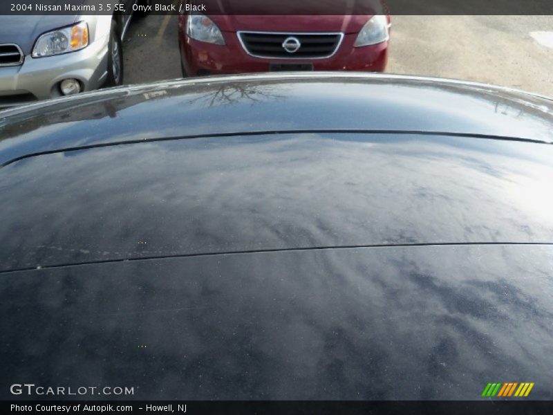 Onyx Black / Black 2004 Nissan Maxima 3.5 SE