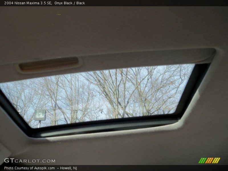 Onyx Black / Black 2004 Nissan Maxima 3.5 SE