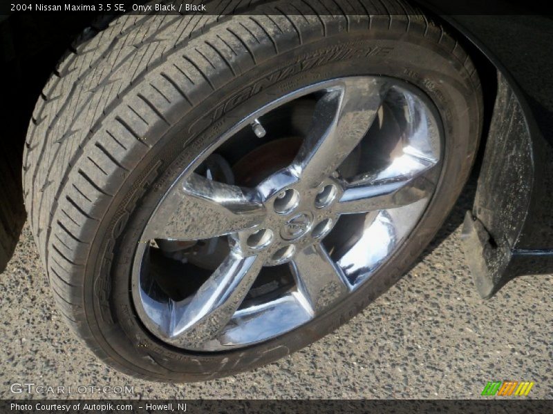 Onyx Black / Black 2004 Nissan Maxima 3.5 SE