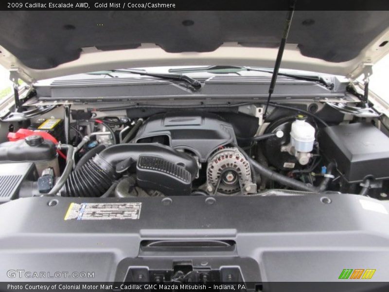 Gold Mist / Cocoa/Cashmere 2009 Cadillac Escalade AWD