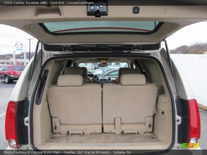 Gold Mist / Cocoa/Cashmere 2009 Cadillac Escalade AWD