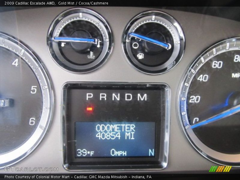 Gold Mist / Cocoa/Cashmere 2009 Cadillac Escalade AWD
