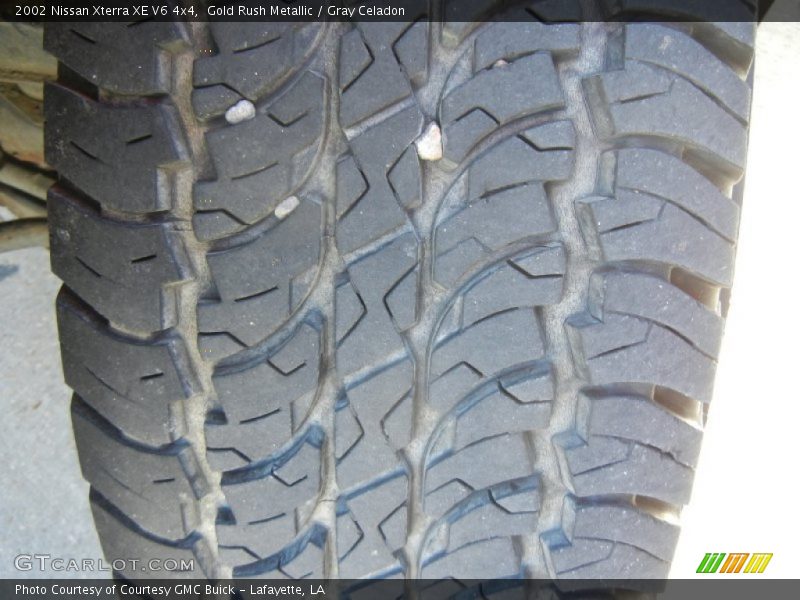 Gold Rush Metallic / Gray Celadon 2002 Nissan Xterra XE V6 4x4