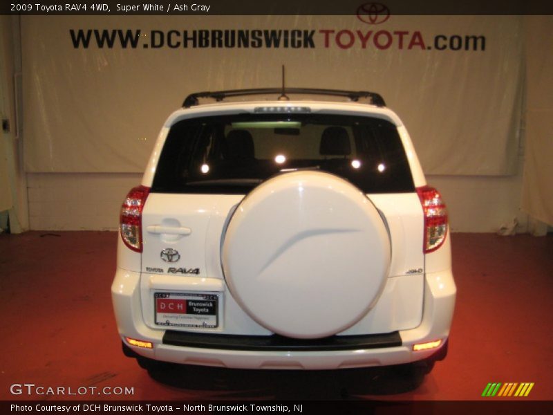 Super White / Ash Gray 2009 Toyota RAV4 4WD