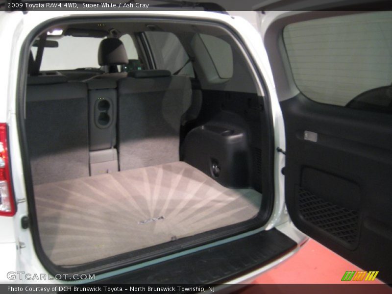 Super White / Ash Gray 2009 Toyota RAV4 4WD