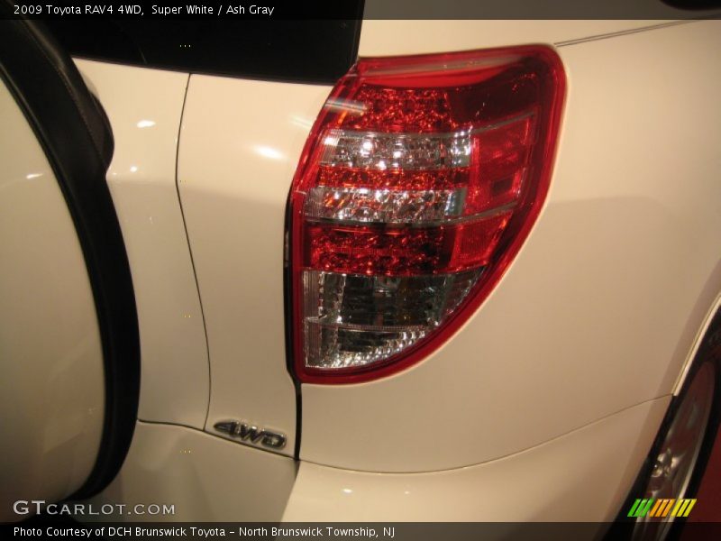 Super White / Ash Gray 2009 Toyota RAV4 4WD