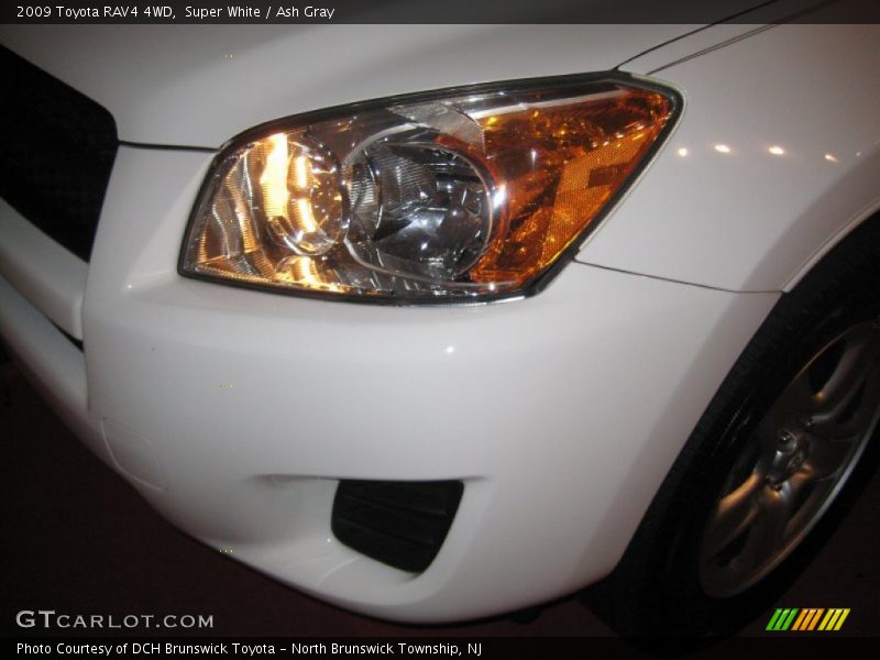 Super White / Ash Gray 2009 Toyota RAV4 4WD