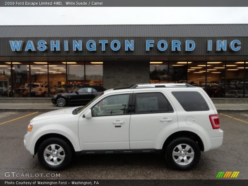White Suede / Camel 2009 Ford Escape Limited 4WD