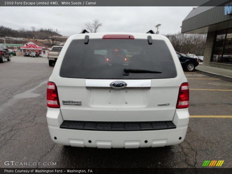 White Suede / Camel 2009 Ford Escape Limited 4WD
