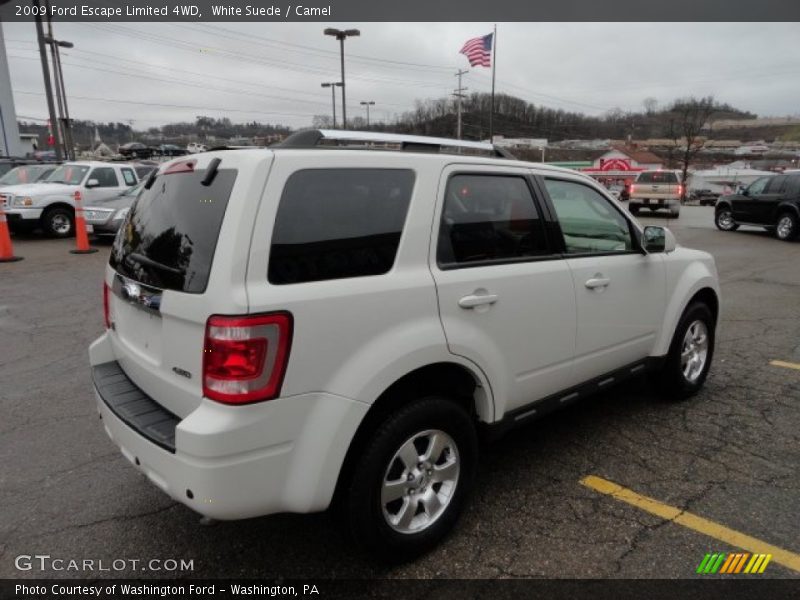 White Suede / Camel 2009 Ford Escape Limited 4WD