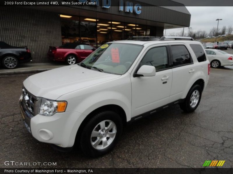 White Suede / Camel 2009 Ford Escape Limited 4WD