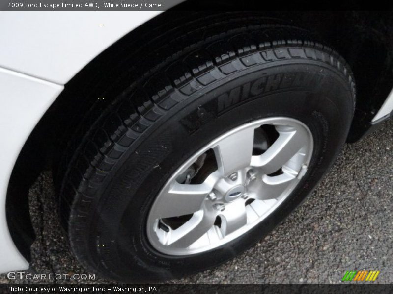 White Suede / Camel 2009 Ford Escape Limited 4WD